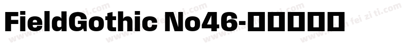 FieldGothic No46字体转换